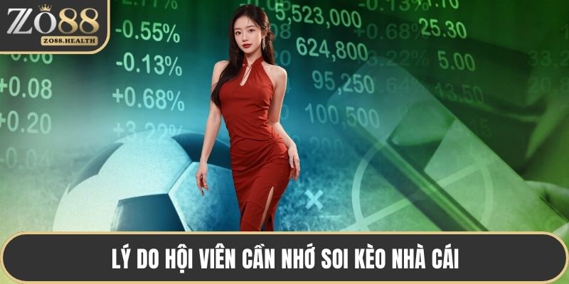 Lý do hội viên cần nhớ soi kèo nhà cái