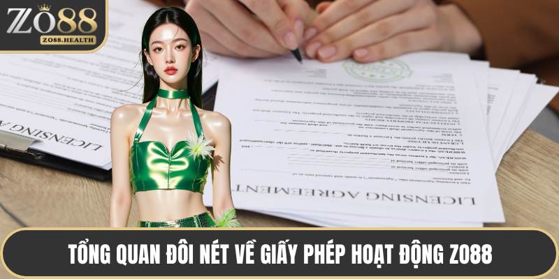 Tổng quan đôi nét về giấy phép hoạt động ZO88